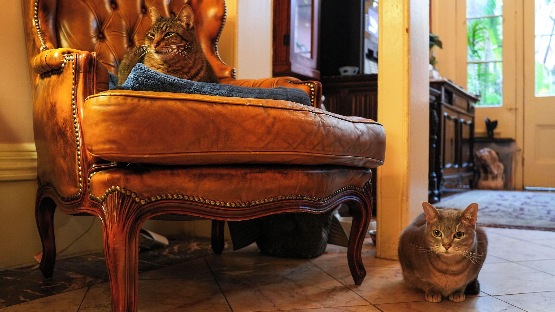 The Olivier House Hotel 3*