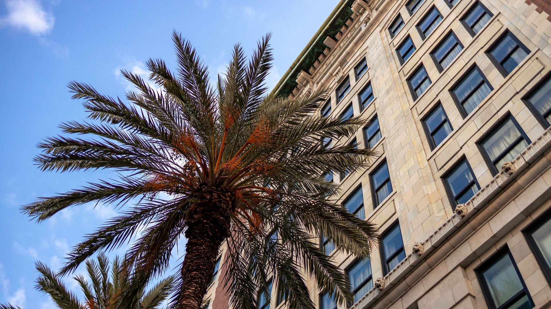 The Saint Hotel, New Orleans, French Quarter, Autograph Collection