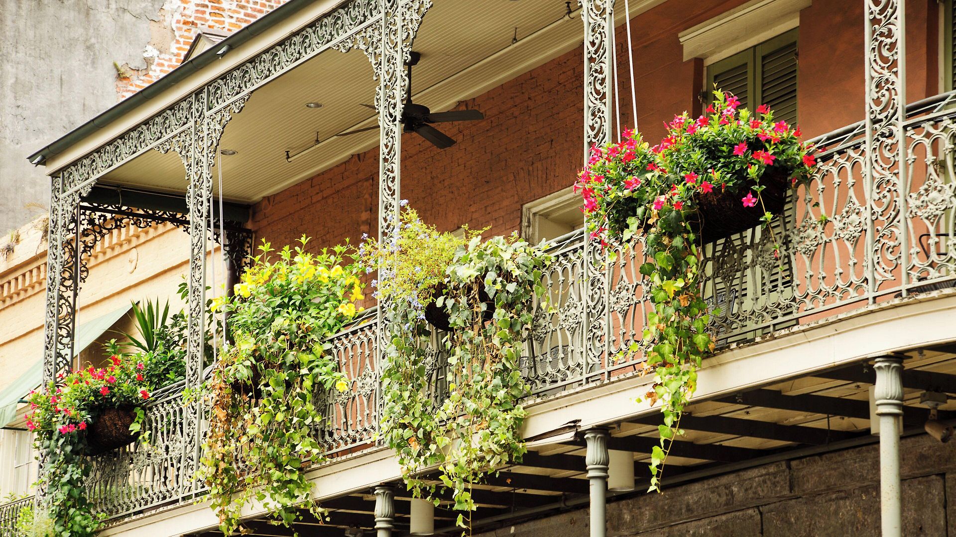 Indigo - French Quarter By Ihg Hotel 3*