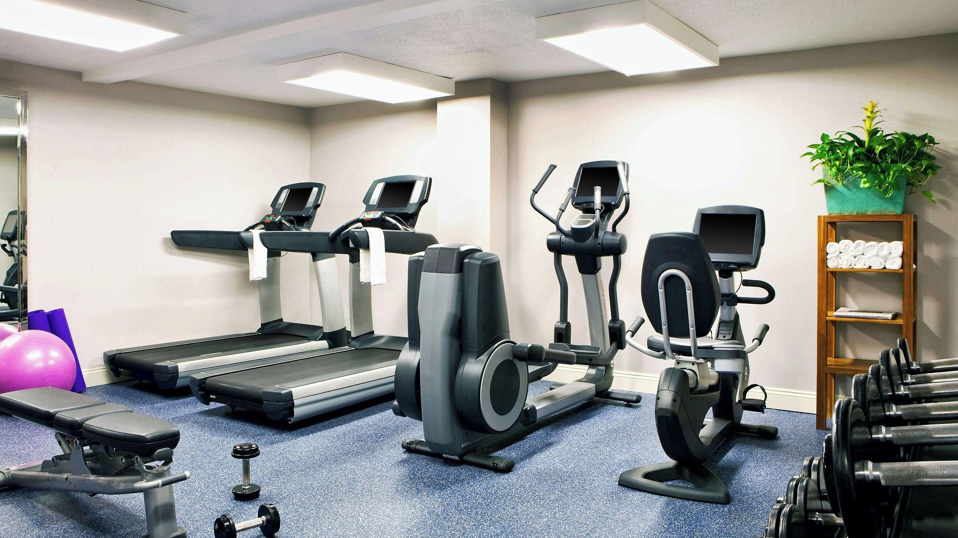 Four Points By Sheraton French Quarter 4* New Orleans