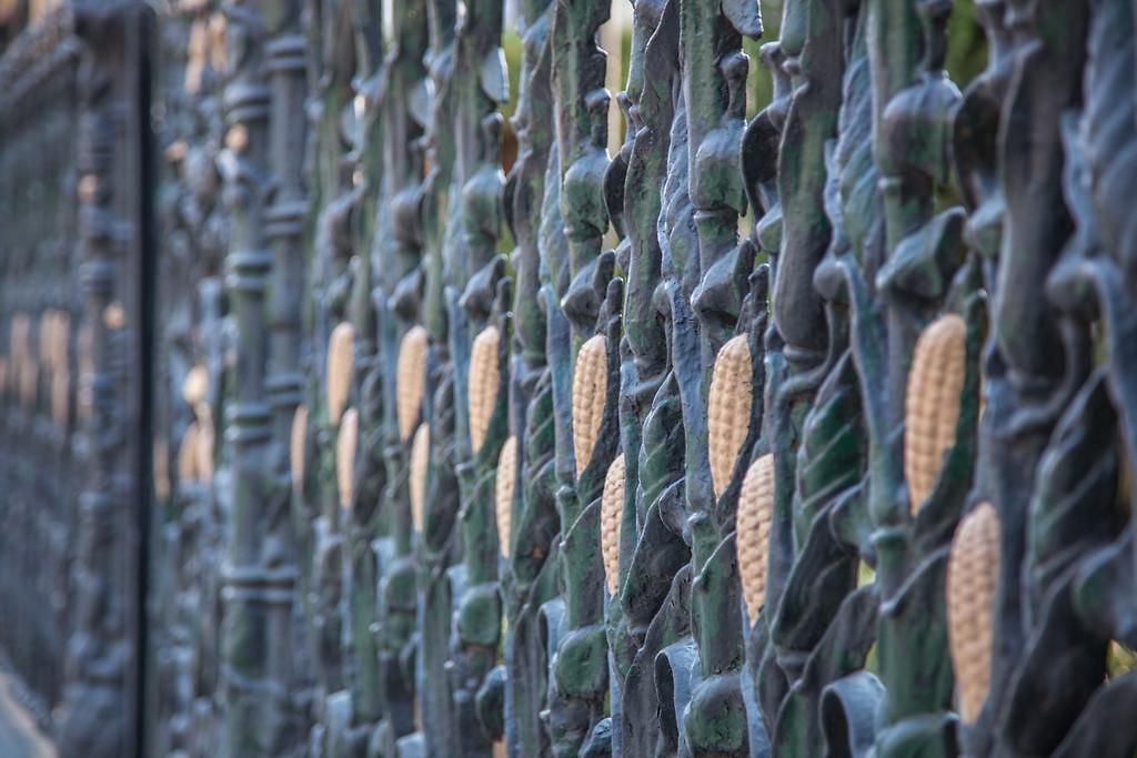 Cornstalk 3*