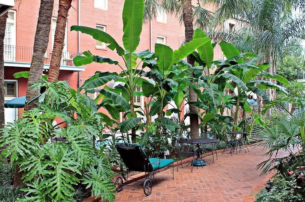 Chateau Orleans Aparthotel New Orleans