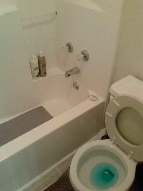 Bed & Breakfast Great Clean 3*