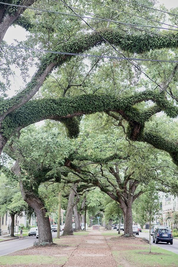 Sonder — Treme Flats Aparthotel New Orleans