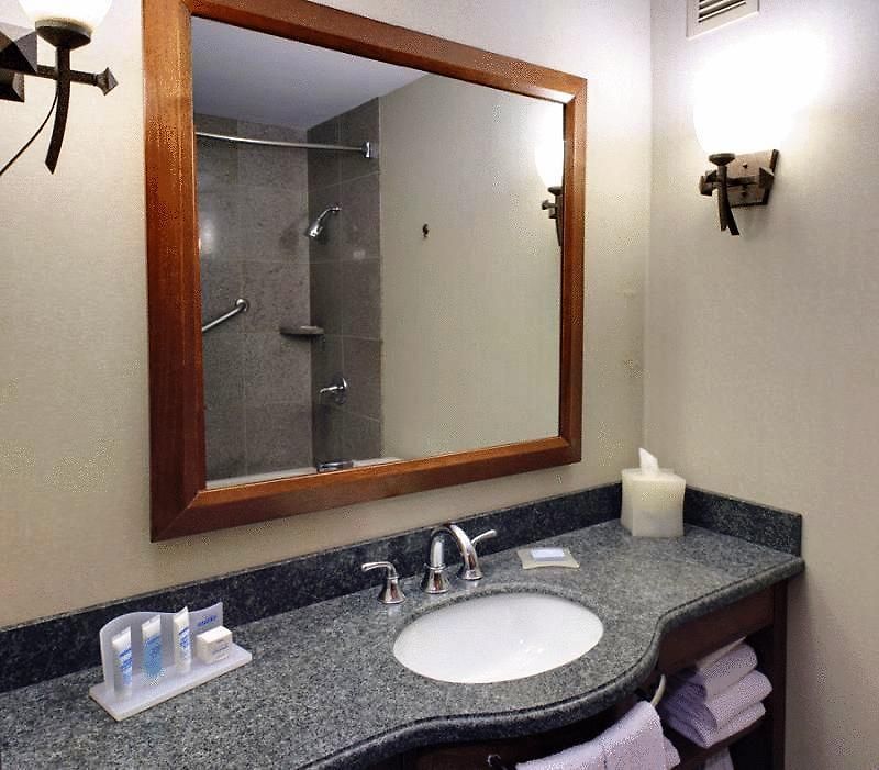 Wyndham Garden New Orleans Downtown Hotel 3*