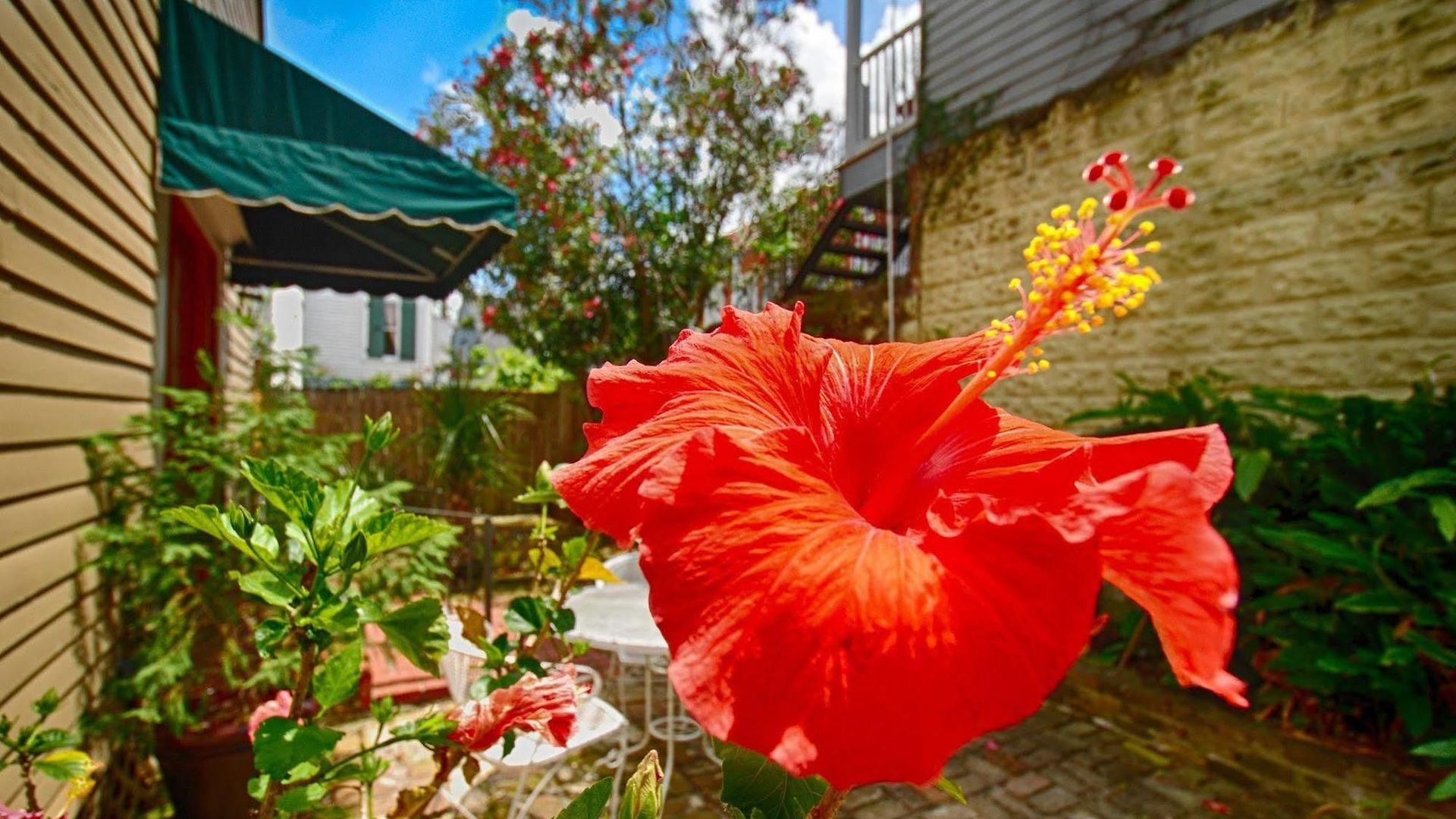Lamothe House A French Quarter Hotel 4*