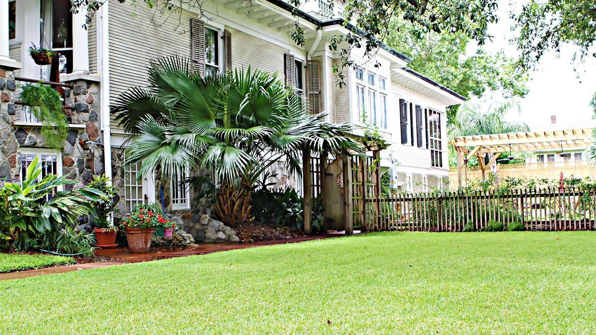 Canal Street Bed & Breakfast New Orleans