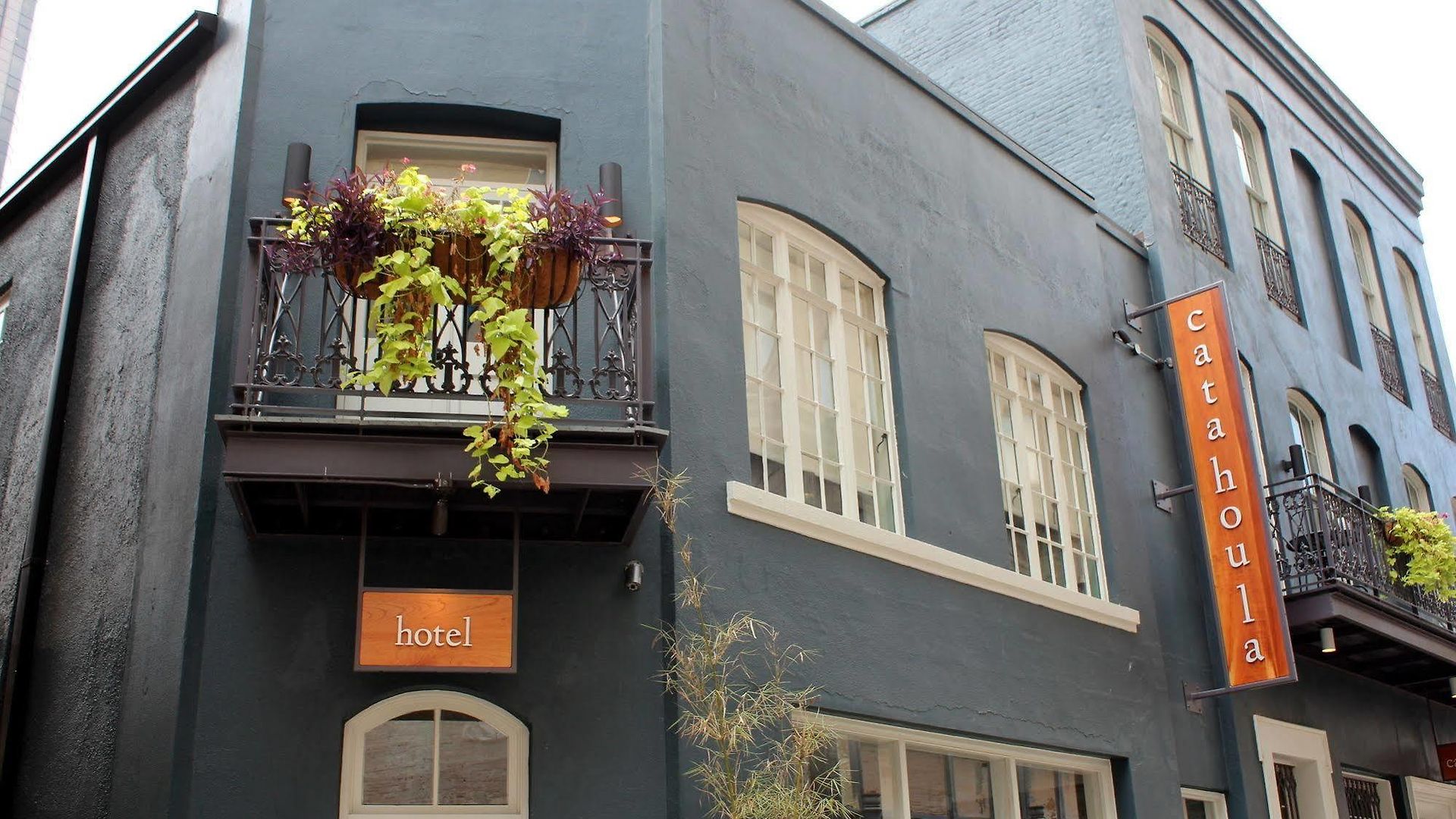Catahoula 3* New Orleans