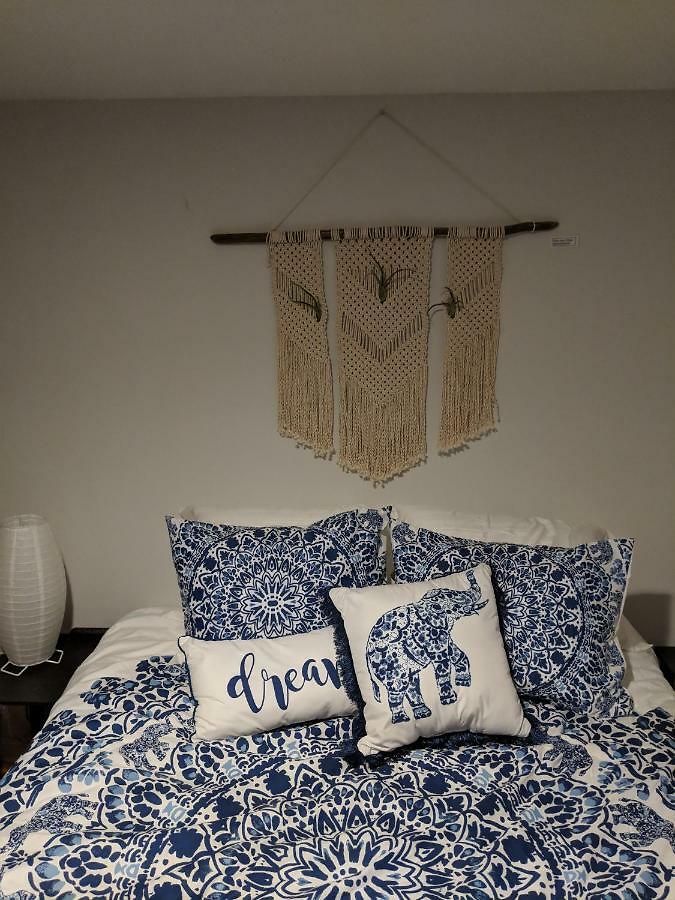 Cozy Treme