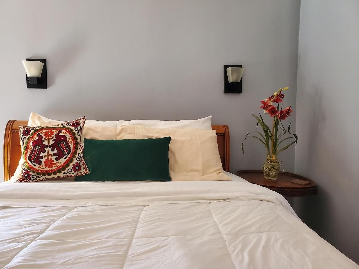 Macarty House, A Bohemian With Pool And Bar Holiday home *