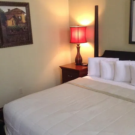 The Prytania Oaks New Orleans