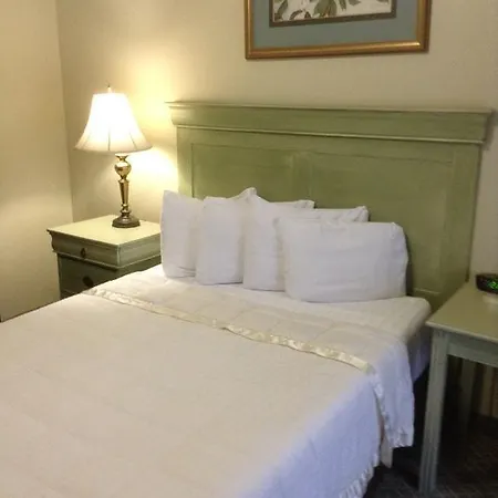 The Prytania Oaks