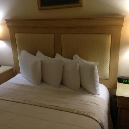 Inn The Prytania Oaks New Orleans