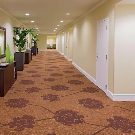 Hotel Hilton Garden French Quarter/cbd 3*