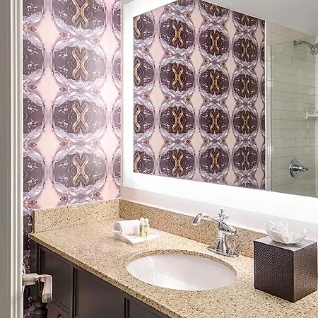 Hotel French Quarter-chateau Lemoyne By Ihg 3*