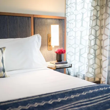 Hotel The Troubadour Hotel New Orleans 4*