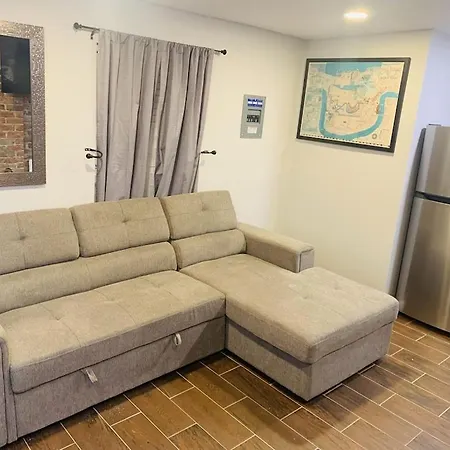 Vintage Uptown Hidden Gem, Walk To Everything New Renovation! New Orleans