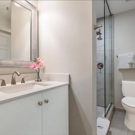 Apartment Upscale And Penthouses Close To Canal And Bourbon St New Orleans