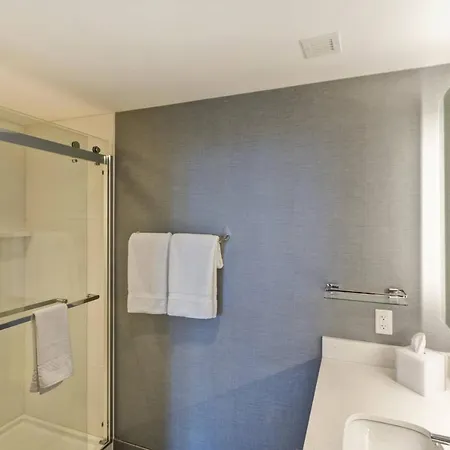 Hotel By Marriott French Quarter Area/cen B 3*