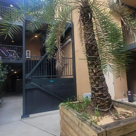 Harmonious Downtown Hideaway!!! Apartment New Orleans