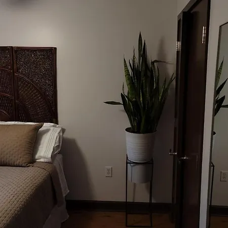 Harmonious Downtown Hideaway!!! Apartment *