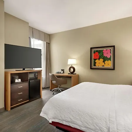 Hampton & Downtown French Quarter Area Hotel 3*