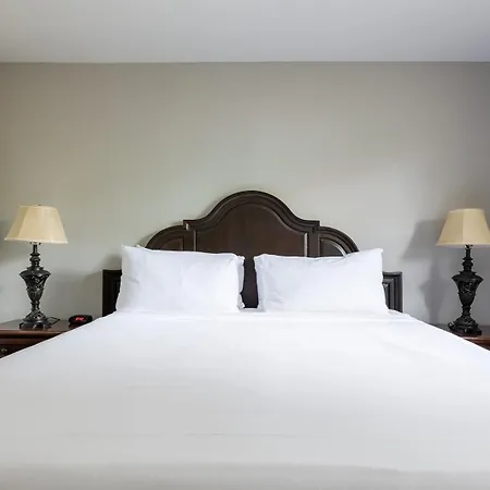 Hotel French Quarter 3*