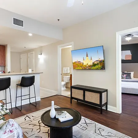 Apartment Spacious Modern Near French Quarter New Orleans