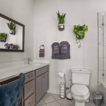 Apartment Stunning 2-bedroom Garden District Newly Renovated New Orleans