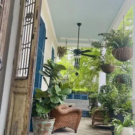 The Dragonfly Treme-close To French Quarter-heated Salt Pool Holiday home New Orleans