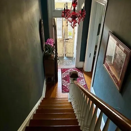 The Dragonfly Treme-close To French Quarter-heated Salt Pool New Orleans