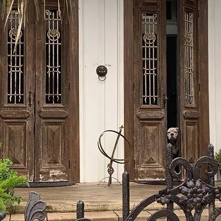Holiday home The Dragonfly Treme-close To French Quarter-heated Salt Pool