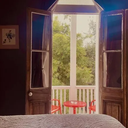 The Dragonfly Treme-close To French Quarter-heated Salt Pool Holiday home *
