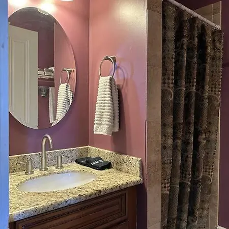 The Dragonfly Treme-close To French Quarter-heated Salt Pool Holiday home