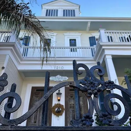 The Dragonfly Treme-close To French Quarter-heated Salt Pool