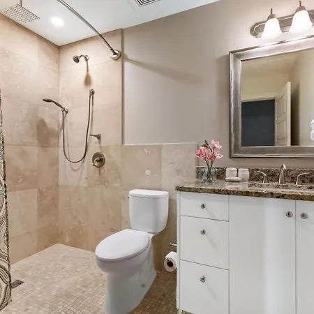 Apartment Upscale And Penthouses Close To Canal And Bourbon St