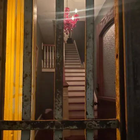 The Dragonfly Treme-close To French Quarter-heated Salt Pool * New Orleans