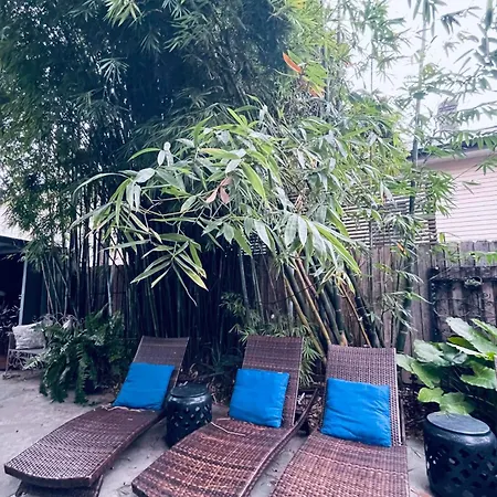 The Dragonfly Treme-close To French Quarter-heated Salt Pool Holiday home