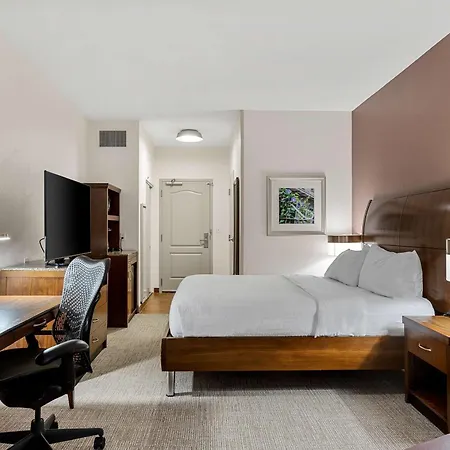 Hilton Garden French Quarter/cbd Hotel