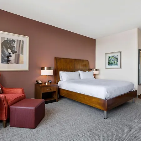 Hilton Garden French Quarter/cbd