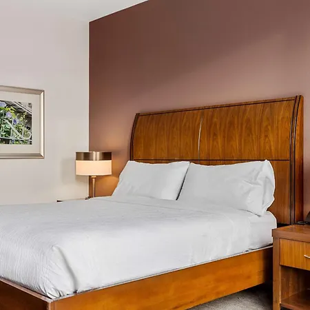 Hilton Garden French Quarter/cbd Hotel