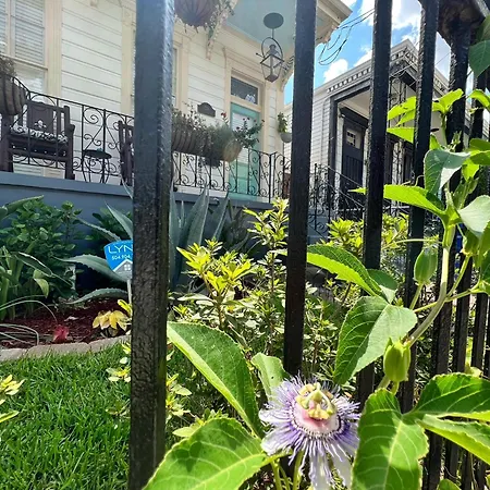 Luxury Historic Shotgun In Lower Garden District *