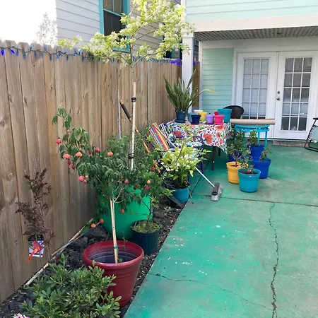 Garden View Apartment