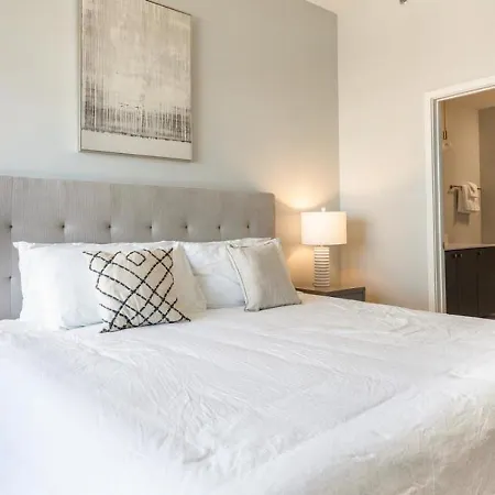 Apartment Landing Modern With Amazing Amenities New Orleans