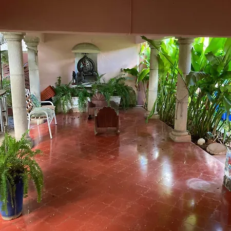 Apartment Garden View
