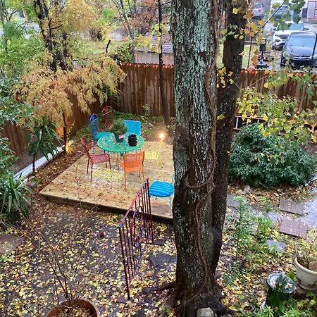Garden View *
