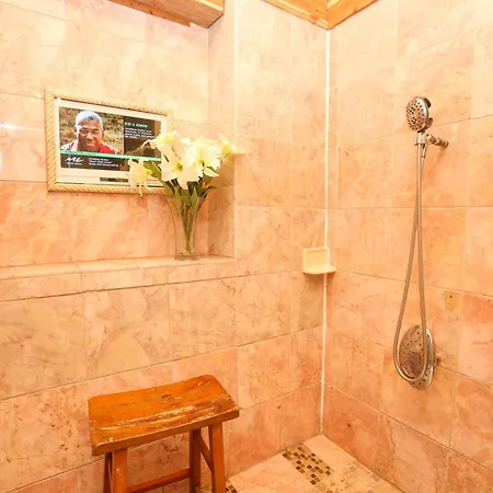 Bed & Breakfast Fleur De Lis Mansion New Orleans