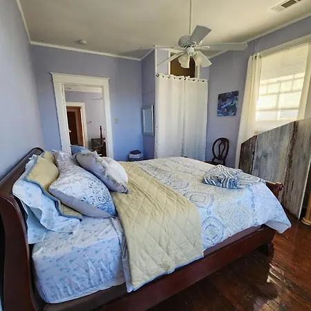 Mid-city Palm Trees House Furnished New Orleans