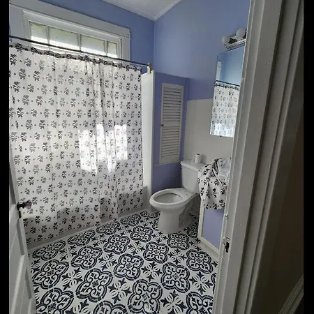 Apartment Mid-city Palm Trees House Furnished New Orleans