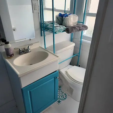 Mid-city Palm Trees House Furnished New Orleans